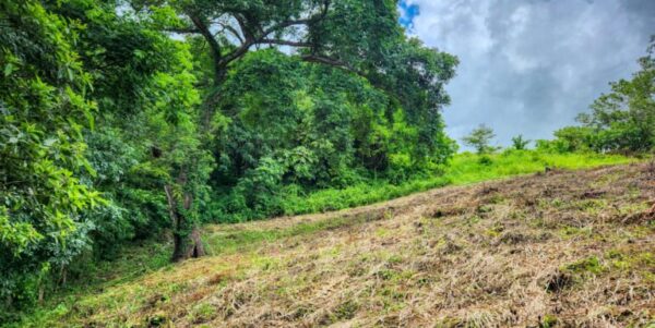 Ocean View Vacant Lot in Villas Oro Lot 12 - Image 6