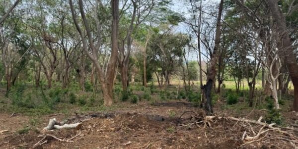 3 Acres located beside the Las Escadas Pickleball Courts - Image 6