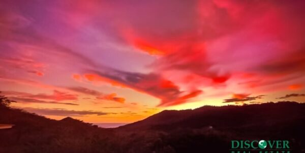 Escape to Your Own Private Retreat - Black Pearl Studio - Image 7