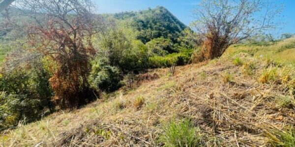 Paradise Bay Panoramic Ocean View Lot 19 - Image 7