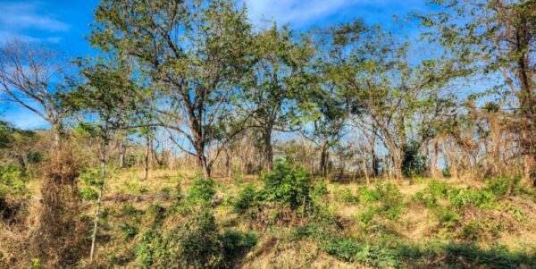 700 Meters Frontage Majagual - Image 7