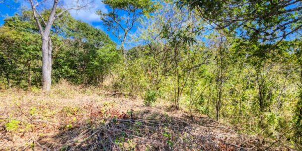 Developer’s last lots at Arriba Verde in Carrizal - Image 7