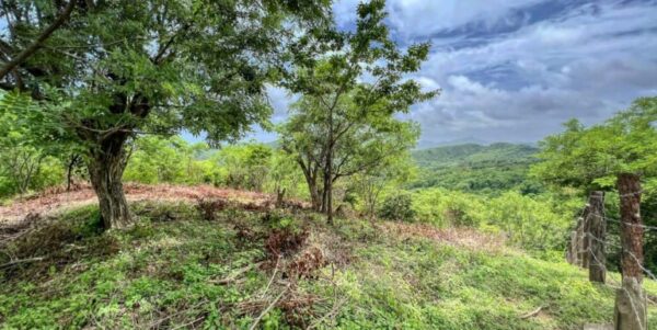 Natural Paradise View Arriba Verde Lot 29 - Image 7