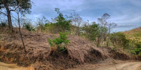 Lot 35 Jungle Cool, Beach Near, Steps to Pool - Image 7