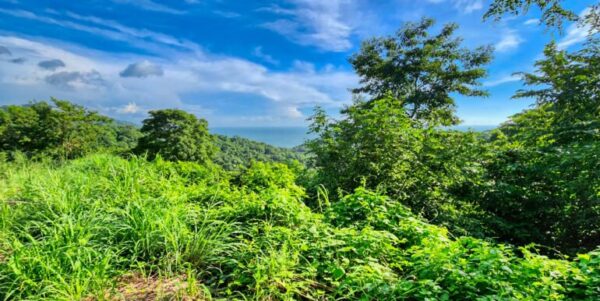 Lot 71 Spectacular Ocean View, Paradise Bay, San Juan del Sur - Image 7