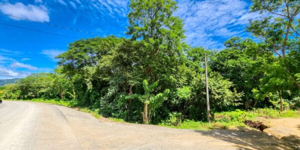 Road to Remanso, Commercial/Residential Land - Image 7