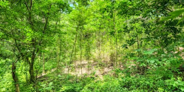 Ocean View Vacant Lot in Villas Oro Lot 12 - Image 7