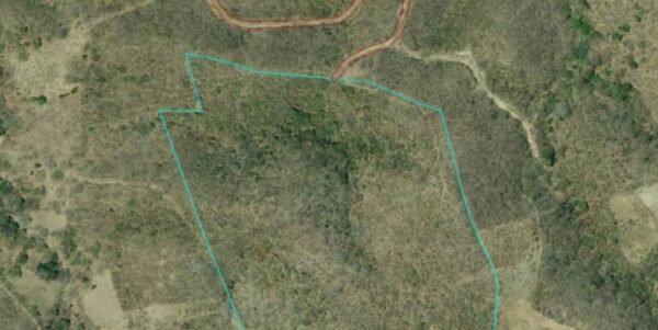 25 Acres of Pristine Nicaraguan Jungle - Image 7