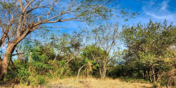 700 Meters Frontage Majagual - Image 8