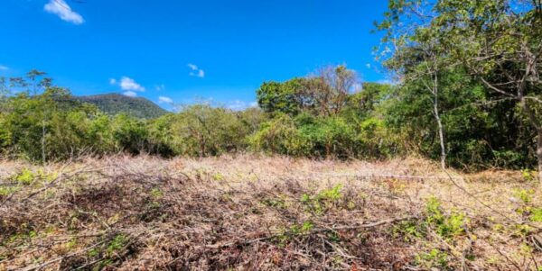 Developer’s last lots at Arriba Verde in Carrizal - Image 8