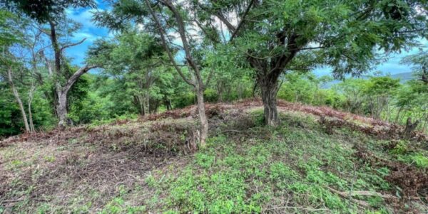 Natural Paradise View Arriba Verde Lot 29 - Image 8