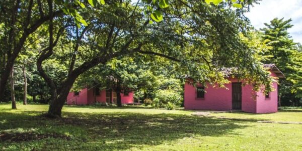 Spanish Traditional Hacienda. On 5 acres - Image 8