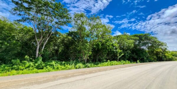 Road to Remanso, Commercial/Residential Land - Image 8