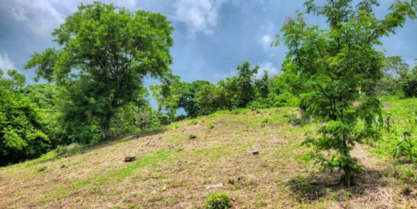 Double Lot, Half Price Ocean, Mountain View - Image 8