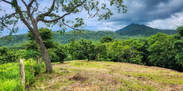 Ocean View Vacant Lot in Villas Oro Lot 12 - Image 8
