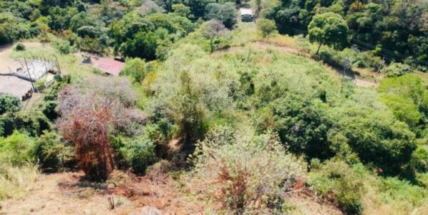 Paradise Bay Panoramic Ocean View Lot 19 - Image 8