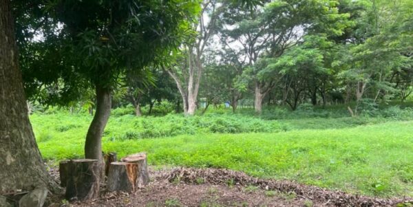 Commercial Property – Cabañas Del Sur-San Juan Del Sur! - Image 8