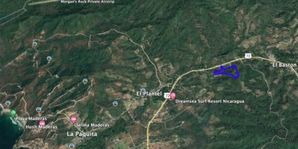 Boundless Forested Opportunity in Baston! 20 acres - Image 9