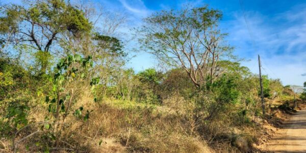 700 Meters Frontage Majagual - Image 9