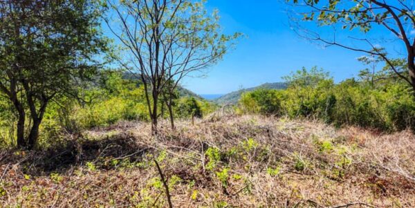Developer’s last lots at Arriba Verde in Carrizal - Image 9