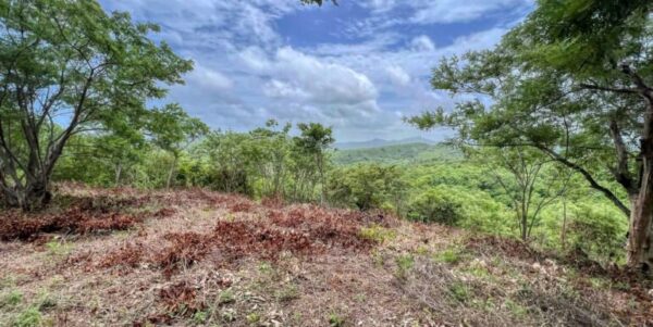 Natural Paradise View Arriba Verde Lot 29 - Image 9