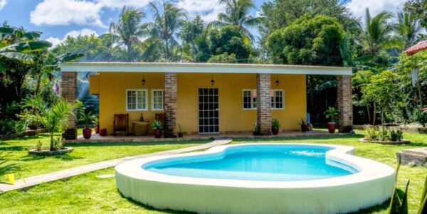 Ukulele Business, Home, and Land. Yes! - Image 9