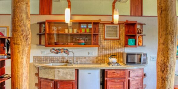 Builder’s Last Unit, 1-bedroom, Rooftop, Talanguera Townhomes - Image 9