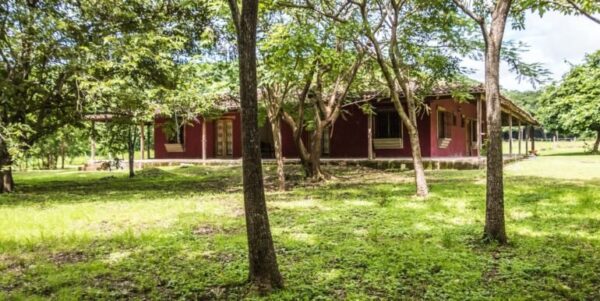 Spanish Traditional Hacienda. On 5 acres - Image 9