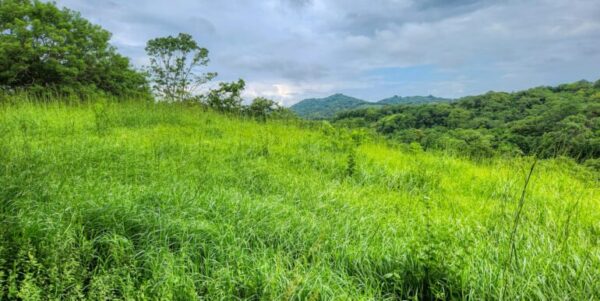 25 Acres of Pristine Nicaraguan Jungle - Image 9