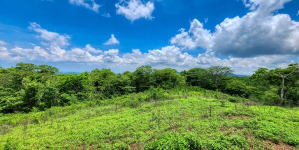 12 Acres Ocean View, Peaceful Hills! - Image 9