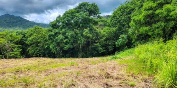 Ocean View Vacant Lot in Villas Oro Lot 12 - Image 9