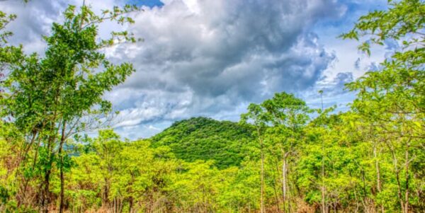 2.5 acres Nature’s Paradise, Las Fincas Lot 20 - Image 9