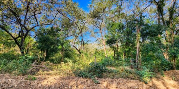 700 Meters Frontage Majagual - Image 10