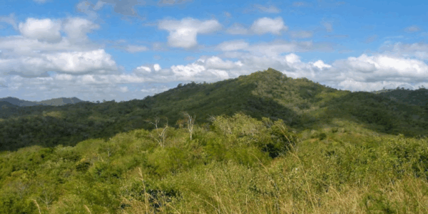 25 Acres of Pristine Nicaraguan Jungle - Image 10