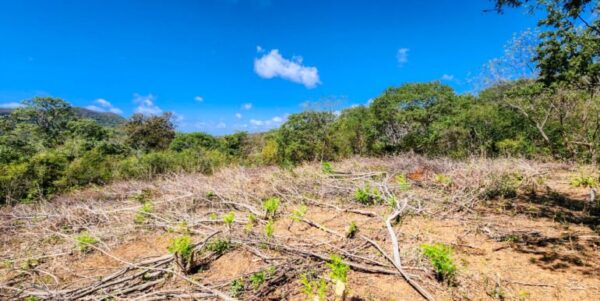 Developer’s last lots at Arriba Verde in Carrizal - Image 10