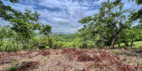 Natural Paradise View Arriba Verde Lot 29 - Image 10