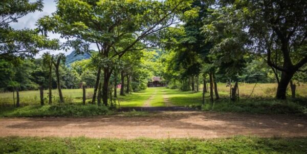Spanish Traditional Hacienda. On 5 acres - Image 10