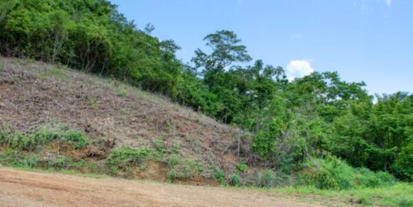 Lot 83 Dream ocean view lot, bargain, Paradise Bay! - Image 10
