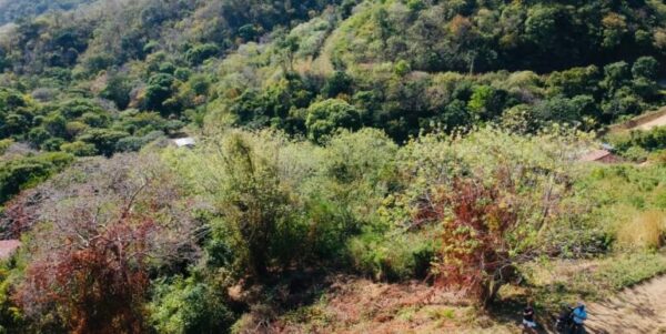Paradise Bay Panoramic Ocean View Lot 19 - Image 10