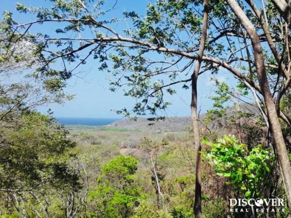 Boundless Forested Opportunity in Baston! 20 acres - Image 11