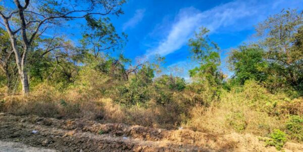 700 Meters Frontage Majagual - Image 11