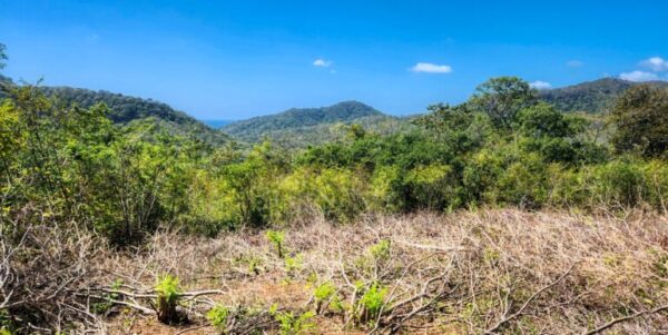Developer’s last lots at Arriba Verde in Carrizal - Image 11