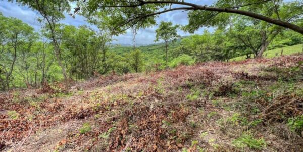 Natural Paradise View Arriba Verde Lot 29 - Image 11