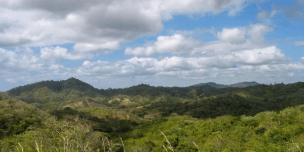 25 Acres of Pristine Nicaraguan Jungle - Image 11