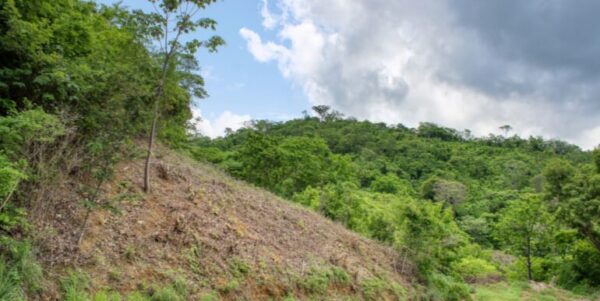 Lot 83 Dream ocean view lot, bargain, Paradise Bay! - Image 11