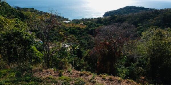 Paradise Bay Panoramic Ocean View Lot 19 - Image 11