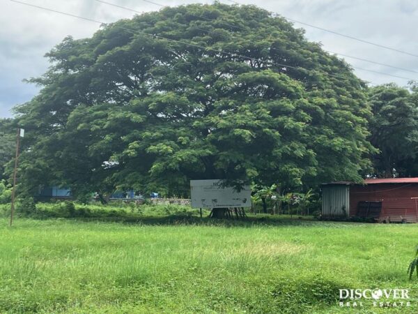 Commercial Property – Cabañas Del Sur-San Juan Del Sur! - Image 12