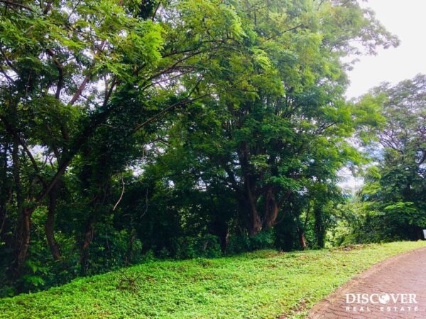 Boundless Forested Opportunity in Baston! 20 acres - Image 12