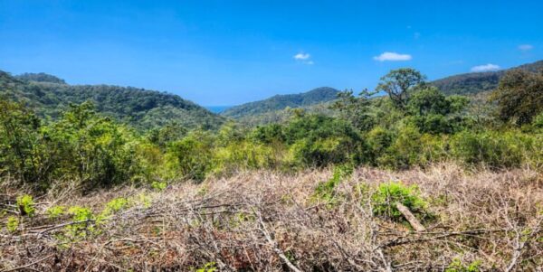 Developer’s last lots at Arriba Verde in Carrizal - Image 12