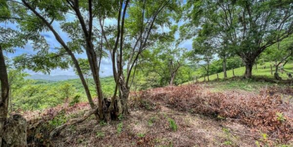 Natural Paradise View Arriba Verde Lot 29 - Image 12